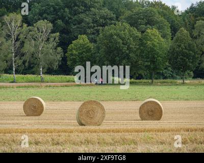 Drei Heuballen auf einem Feld im Vordergrund, zwei Menschen in der Ferne, borken, Nordrhein-Westfalen, deutschland Stockfoto