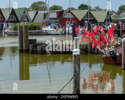 Kleiner Hafen mit Booten und Hütten, rote Fahnen wehen, Wasser zeigt Reflexionen der Umgebung, ahrenshoop, zingst, Ostsee, Deutschland Stockfoto