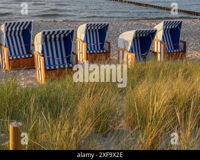 Reihe von Korbstühlen am Strand, getrennt durch Gras, ruhige Abendstimmung, ahrenshoop, zingst, Ostsee, Deutschland Stockfoto