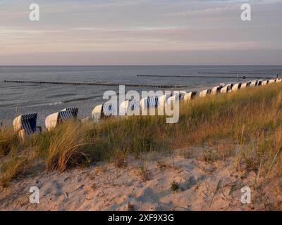 Liegestühle hinter Gras am Strand in ruhiger Abendstimmung, ahrenshoop, zingst, Ostsee, Deutschland Stockfoto