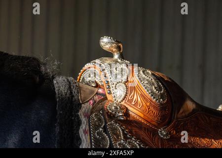 Detail mit graviertem Silberbesatz auf einem Ledersattel auf einer Rodeo-Spezialität, die andalusisches Pferd bei einem Rodeo in Utah spielt. Stockfoto