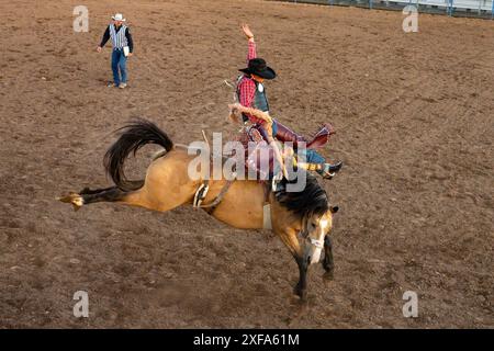 Ein professioneller Rodeo-Cowboy bei einem Rodeo in Utah. Der Cowboy wurde vom bockenden Pferd völlig in die Luft geworfen. Stockfoto