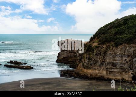 Murawai Gannet Kolonie am kap der Westküste am pazifik in Auckland, Neuseeland Stockfoto