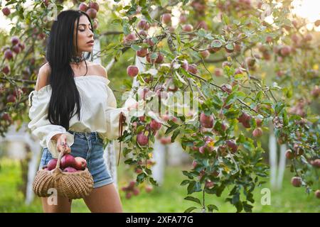 Nachdenkliche Gärtnerin in schulterloser Bluse, die im Garten Äpfel pflückt. Seitenansicht einer langhaarigen Dame mit Korbkorb, die in Obstgarten in s arbeitet Stockfoto