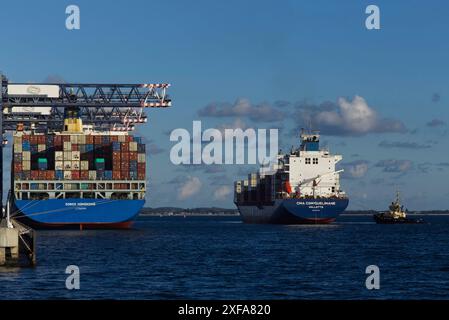 Ein großes Containerschiff wird von einem Schlepper im Hafen von Sydney, New South Wales, Australien, unterstützt. Stockfoto