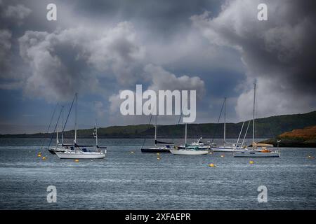 Yachten auf Loch Melfort, Dunstaffnage Marina, Argyll und Bute, Schottland Stockfoto