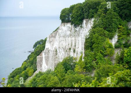 Sassnitz, Deutschland. Juli 2024. Blick vom Skywalk Königsstuhl zum Victoria View an der Kreidefelder der Insel Rügen. Quelle: Stefan sauer/dpa/Alamy Live News Stockfoto