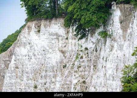 Sassnitz, Deutschland. Juli 2024. Blick vom Skywalk Königsstuhl zum Victoria View an der Kreidefelder der Insel Rügen. Quelle: Stefan sauer/dpa/Alamy Live News Stockfoto