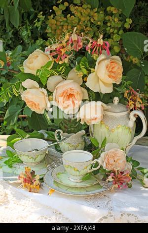Botanik, Porzellan-Teeservice auf einem Tisch mit Spitzentischdecke, ZUSÄTZLICHE RECHTE-CLEARANCE-INFO-NICHT-VERFÜGBAR Stockfoto