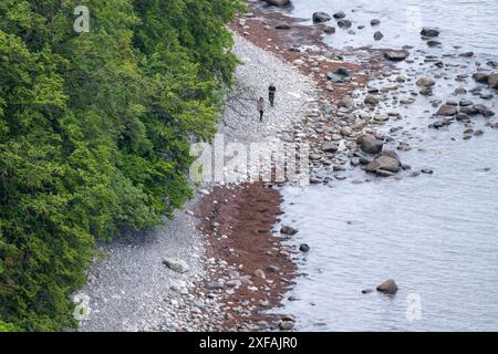 Sassnitz, Deutschland. Juli 2024. Touristen spazieren am Strand unterhalb des Königsstuhls an der Kreideküste der Insel Rügen. Quelle: Stefan sauer/dpa/Alamy Live News Stockfoto