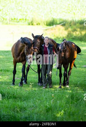 Ebstorf, Deutschland. Juni 2024. Sabine Bracker, Vorsitzende des Vereins für misshandelte Tiere e.V., geht mit drei Pferden über eine Weide. Ein Tierheim in der Nähe von Uelzen stößt an seine Grenzen. Die Kosten für die Rehabilitation von sechs Pferden sind zu hoch. Quelle: Philipp Schulze/dpa/Alamy Live News Stockfoto