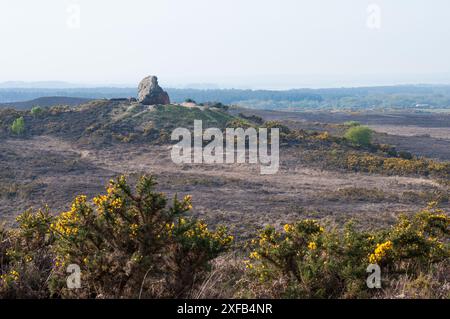 Agglestone Rock, auch bekannt als Devil's Anvil, ist ein Sandsteinblock von etwa 400 Tonnen Gewicht, der auf einem konischen Hügel liegt, etwa 1,6 km vom Dorf Studland im Süden von Dorset entfernt Stockfoto