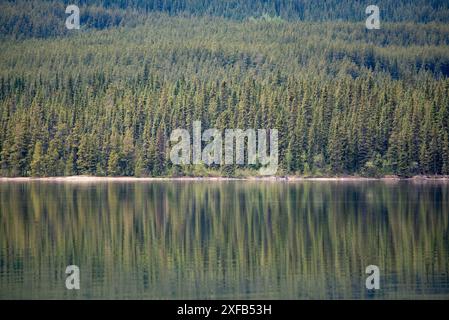 Atemberaubende kanadische Aussicht mit Wildnis Wald und See. Im Sommer auf der South Canol Road im Yukon-Territorium im Norden Kanadas. Stockfoto