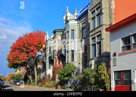 Geografie / Reisen, Kanada, Quebec, Montreal, traditionelle Steinhäuser am Saint-Louis Square, ADDITIONAL-RIGHTS-CLEARANCE-INFO-NOT-AVAILABLE Stockfoto