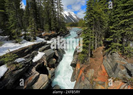 Geografie / Reisen, Kanada, British Columbia, Kootenay National Park, Numa Falls, KOOTENAY RIVER, ADDITIONAL-RIGHTS-CLEARANCE-INFO-NOT-AVAILABLE Stockfoto