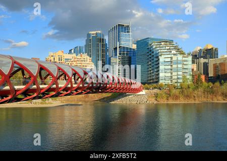 Geografie / Reisen, Kanada, Alberta, Calgary, Peace Bridge over Bow River, ADDITIONAL-RIGHTS-CLEARANCE-INFO-NOT-AVAILABLE Stockfoto