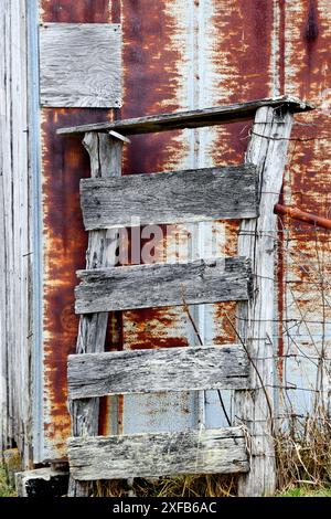 Die rustikale Holzleiter ist Teil eines Zauns auf einer Farm in Tennessee. Bretter sind verwittert und abgenutzt. Rostende Zinnscheune steht hinter der Leiter. Stockfoto