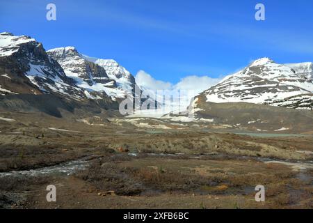 Geografie / Reisen, Kanada, Alberta, Jasper Nationalpark, Columbia Icefield, ADDITIONAL-RIGHTS-CLEARANCE-INFO-NOT-AVAILABLE Stockfoto