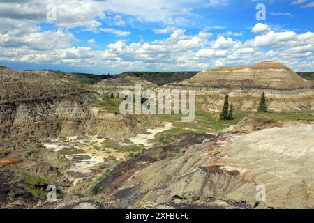 Geografie / Reisen, Kanada, Alberta, Drumheller, Badlands im Horseshoe Canyon, ADDITIONAL-RIGHTS-CLEARANCE-INFO-NOT-AVAILABLE Stockfoto