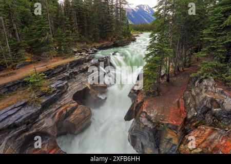 Geografie / Reisen, Kanada, British Columbia, Kootenay National Park, Numa Falls, KOOTENAY RIVER, ADDITIONAL-RIGHTS-CLEARANCE-INFO-NOT-AVAILABLE Stockfoto