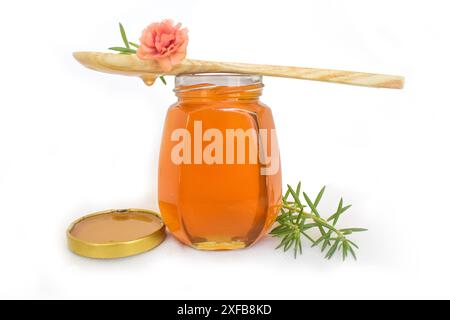 Glas mit Flüssigkeit, süßer Honig im Kamm, Glas Glas auf hölzernem Hintergrund, Honig aus der Natur Pollenblume in Glasflasche, Honigglas mit hölzernem Honig Stockfoto