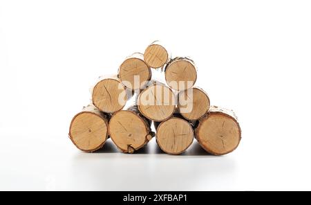 Stapel Birkenfeuerholz auf weißem Hintergrund. Material zum Anzünden eines Feuers. Stockfoto