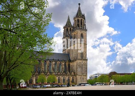 Kloster unserer Lieben Frau, Magdeburg, Sachsen-Anhalt, Deutschland Stockfoto