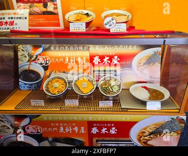 Plastiknahrung, auf Japanisch auch „Shokuhin Sampuru“ genannt, ist eine Art von Lebensmittelnachbildung aus Kunststoff. Sie werden häufig in Restaurants verwendet, um die im Restaurant verfügbaren Gerichte darzustellen. Plastiknahrung wird in Japan seit Jahrhunderten verwendet, aber im frühen 20. Jahrhundert wurde sie immer beliebter. Plastikgerichte sind ein einzigartiger Teil der japanischen Kultur und ein faszinierendes Beispiel dafür, wie Kunst und Handel sich kreuzen können. Japan. Stockfoto