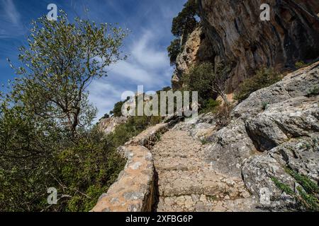 Kopfsteinpflasterweg zur Burg von Alaro, Alaro, Mallorca, Balearen, Spanien Stockfoto