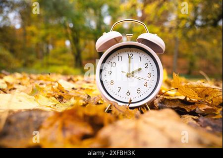 Wecker mit Herbstlaub, Ende der Sommerzeit im Herbst, Umstellung auf Winterzeit Stockfoto