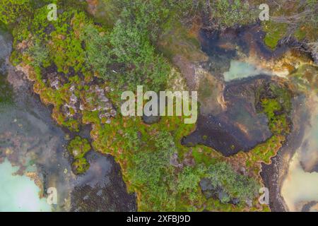 Drohnen, Luftaufnahmen von bunten Seen und Teichen in der kanadischen Wildnis. Abstrakt, Druck, Kunst, Wandkunst. Stockfoto