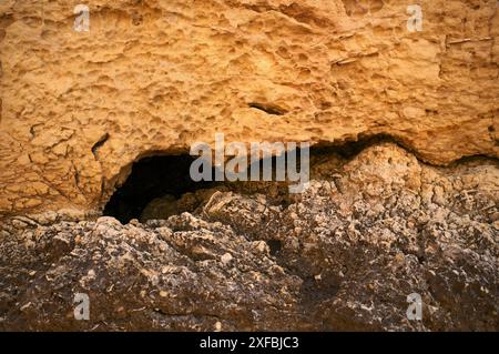 Muschelkalk, fossile Muscheln am Strand, Praia da Dona Ana, Lagos, Klippen, Atlantik, Algarve, Portugal Stockfoto