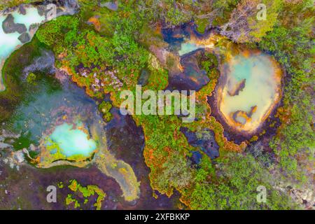 Drohnen, Luftaufnahmen von bunten Seen und Teichen in der kanadischen Wildnis. Abstrakt, Druck, Kunst, Wandkunst. Stockfoto