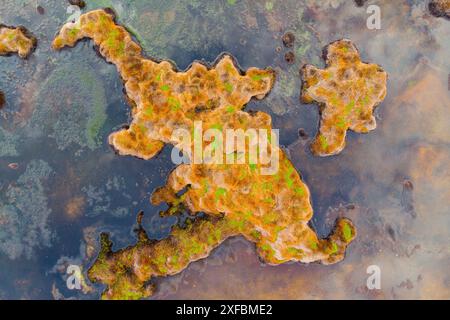 Drohnen, Luftaufnahmen von bunten Seen und Teichen in der kanadischen Wildnis. Abstrakt, Druck, Kunst, Wandkunst. Stockfoto