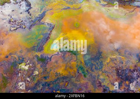 Drohnen, Luftaufnahmen von bunten Seen und Teichen in der kanadischen Wildnis. Abstrakt, Druck, Kunst, Wandkunst. Stockfoto