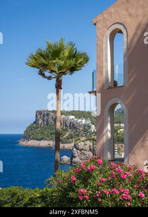 Wunderschöner Blick auf die Küste in Port de Soller, im Vordergrund eine einsame Kiefer, ein Hafen für Yachten und Schiffe auf der Insel Mallorca, Spanien, Mittelmeer Stockfoto