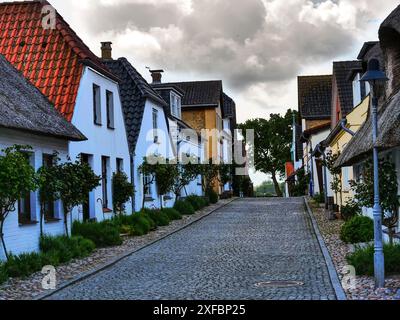 Gepflasterte Straße mit traditionellen strohgedeckten Häusern unter bewölktem Himmel in einem ruhigen Dorf, Maasholm, deutschland Stockfoto