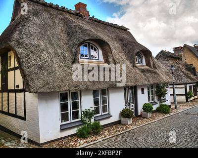 Fachwerkhaus mit Strohdach in einer ruhigen Kopfsteinpflasterstraße in einem traditionellen Dorf, Maasholm, deutschland Stockfoto