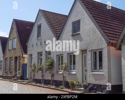 Reihe von Häusern mit abgeschrägten Dächern und weißen Fassaden in einer ruhigen Straße, Stein, schleswig. deutschland Stockfoto