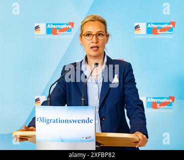 Alice Weidel AfD gibt eine Presseerklärung vor der Fraktionssitzung im Bundestag am 2. Juli 2024. AFD-Erklärung vor der Fraktionssitzung *** Alice Weidel die AfD gibt vor der Fraktionssitzung im Bundestag am 2. Juli 2024 eine Pressemitteilung der AfD vor der Fraktionssitzung ab Stockfoto