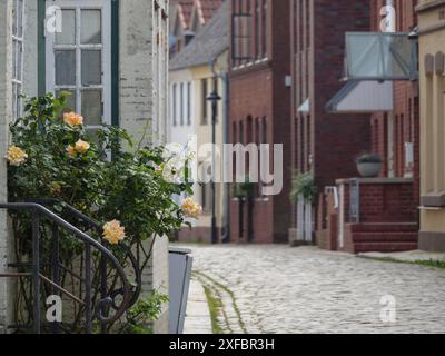 Blühende Blumen vor einem Fenster in einer malerischen Kopfsteinpflasterstraße in der Altstadt von husum, schleswig-holstein, deutschland Stockfoto