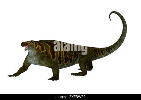 Cotylorhynchus war ein synapsid pflanzenfressende Reptil, in Nordamerika während der Permian Periode lebte. Stockfoto