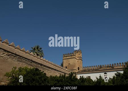 Es werden Aspekte des Innern des Alcazar der christlichen Monarchen gezeigt, der Teil des historischen Zentrums von Cordoba ist, einem Komplex, der von der UNESCO zum Weltkulturerbe erklärt wurde, am 2. Juli in Cordoba, Andalusien, Spanien. 2024. (Foto: Cristian Leyva/NurPhoto) Credit: NurPhoto SRL/Alamy Live News Stockfoto