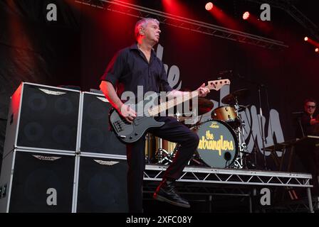 Guildford / UK - 29. Juni 2024: Das ursprüngliche Bandmitglied Jean-Jacques Burnel tritt mit den Stranglers auf dem Guilfest Music Festival in Guildford, Surrey, UK. Stockfoto
