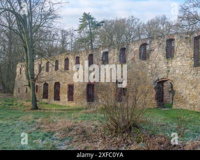 Alte und baufällige Mauern in einer Waldlandschaft mit einigen offenen Fensteröffnungen, grimma, dresden, deutschland Stockfoto