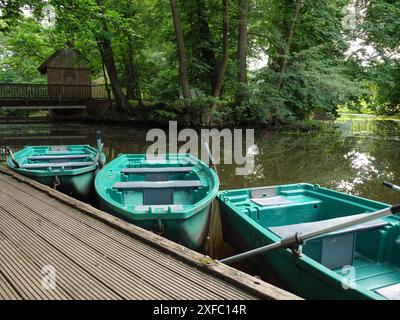 Vier grüne Boote liegen nebeneinander auf einem Holzsteg, im Hintergrund befindet sich ein kleines Holzhaus in einem ruhigen Wald, ahaus, westfalen Stockfoto