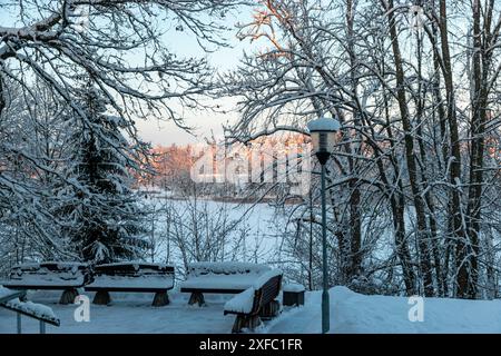 Winterlandschaft vom Park, schneebedeckte Bäume am Ufer des Sees, die Gipfel der Bäume werden von der untergehenden Sonne beleuchtet Stockfoto