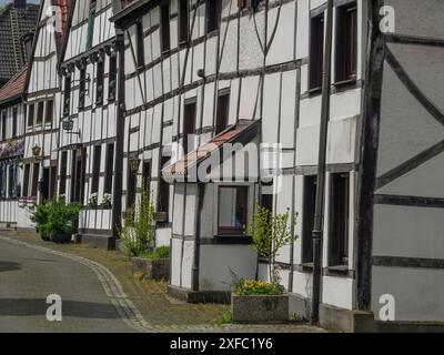 Fachwerkhäuser entlang einer kopfsteingepflasterten Dorfstraße mit vielen Fenstern und einigen Pflanzen an einem bewölkten Tag, herten, Nordrhein-Westfalen, deutschland Stockfoto