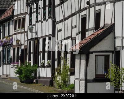 Reihe traditioneller Fachwerkhäuser mit Blumen in den Fenstern und Holzläden entlang einer Straße, Herten, Nordrhein-Westfalen, Deutschland Stockfoto