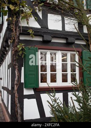 Seitenansicht eines historischen Fachwerkhauses mit grünen Fensterläden und weißen Wänden, kandel, deutschland Stockfoto